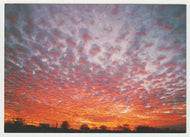 Cloudscapes - Altocumilus Stratiformis Clouds, USA - Vintage Original Postcard # 5101 - New - Post Marked October 4, 2004