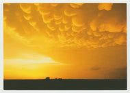 Cloudscapes - Cumulonimbus Mammatus Clouds, USA - Vintage Original Postcard # 5103 - New - Post Marked October 4, 2004