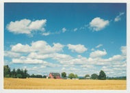 Cloudscapes - Cumulus Humilis Clouds, USA - Vintage Original Postcard # 5111 - New - Post Marked October 4, 2004