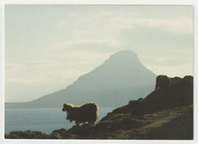 Load image into Gallery viewer, Mountain Goats, Norway Vintage Original Postcard # 5137 - New 1980's
