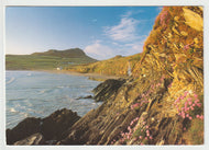 Whitesands Bay and Carn Llidi, Wales Vintage Original Postcard # 5154 - Post Marked 1980's