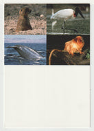 Endangered Species - United Nations Vintage Original Postcard # 5163 - New - 2002