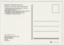 Load image into Gallery viewer, Endangered Species - United Nations Vintage Original Postcard # 5163 - New - 2002
