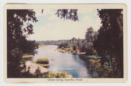 Rainbow Springs, Dunnellon, Florida, USA Vintage Original Postcard # 5207 - Post Marked January 15, 1950