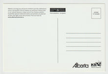 Load image into Gallery viewer, Alberta Centennial, Canada Vintage Original Postcard # 5208 - New 2005
