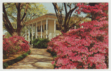 Load image into Gallery viewer, Mitchell Home - Spring Hill Ave, Mobile Azalea Trail, Alabama, USA Vintage Original Postcard # 5212 - New - 1960's
