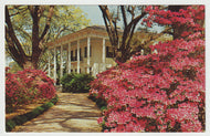 Mitchell Home - Spring Hill Ave, Mobile Azalea Trail, Alabama, USA Vintage Original Postcard # 5212 - New - 1960's