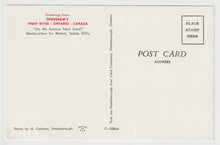 Load image into Gallery viewer, Greetings from Openshaw's - Trent River, Ontario, Canada - Vintage Original Postcard # 5219 - New - 1960's
