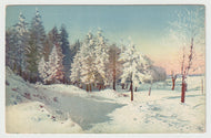 Winter Scene, Switzerland Vintage Original Postcard # 5222 - New - 1960's