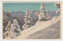 Load image into Gallery viewer, Tannen in Winterkleid, Wildstrubel - Winter Scene, Switzerland Vintage Original Postcard # 5224 - New - 1960's
