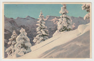 Tannen in Winterkleid, Wildstrubel - Winter Scene, Switzerland Vintage Original Postcard # 5224 - New - 1960's