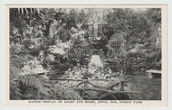 Floral Display - Jewel Box, Forest Park, St. Louis, Missouri, USA Vintage Original Postcard # 5226 - New - 1950's