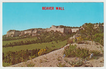 Load image into Gallery viewer, Beaver Wall, Chadron, Nebraska, USA Original Postcard # 5239 - New - 1960&#39;s
