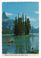 Maligne Lake, Jasper, Alberta, Canada Vintage Original Postcard # 5277 - Hand Written - 1980's