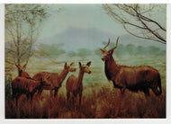 Wildlife (3D Card) - Vintage Original Postcard # 5278 - Hand Written - 1980's