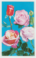 Roses (Pink) Vintage Original Postcard # 5285 - New - 1960's