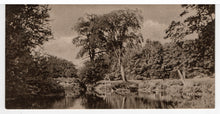 Load image into Gallery viewer, Scenic River View (Unknown) Vintage Original Postcard # 5395 - New (Mini-Card) - 1950's

