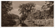 Scenic River View (Unknown) Vintage Original Postcard # 5395 - New (Mini-Card) - 1950's