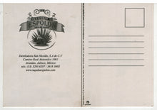 Load image into Gallery viewer, Tequila - Espolon - Mexico Vintage Original Postcard # 5463 - New - Early 2000's
