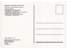 Load image into Gallery viewer, Endangered Species - United Nations Vintage Original Postcard # 5471 - New - 1993

