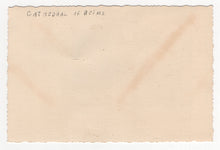 Load image into Gallery viewer, Seasons Greetings (Cathedral of Notre-Dame of Reims) Vintage Original Postcard # 5472 - New - 1960's
