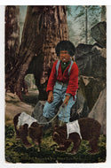 Boy with Bear Cubs (Unknown) Vintage Original Postcard # 5481 - Post Marked July 19, 1910