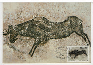 Rock-Paintings of the South-West Cape: 'Rotstekeninge - Bergville' Vintage Original Postcard # 5495 - Dated June 4, 1987