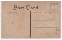 Load image into Gallery viewer, Boy with Chicken (Unknown) Vintage Original Postcard # 5513 - New - Early 1900's
