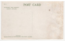 Load image into Gallery viewer, Elephant and Mahout, Kandy, Ceylon Vintage Original Postcard # 5524 - New - 1960's
