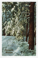 Happy New Year - Voorspoedig Nieuwjaar Vintage Original Postcard # 5579 - Post Marked December 17, 1988