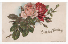 Load image into Gallery viewer, Birthday Greetings Vintage Original Postcard # 5583 - Early 1900's
