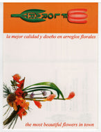 Florart, Puerto Vallarta, Mexico Vintage Original Postcard # 5624 - New - Early 2000's