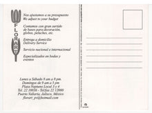Load image into Gallery viewer, Florart, Puerto Vallarta, Mexico Vintage Original Postcard # 5624 - New - Early 2000's
