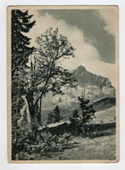 Alpspitze Mountains, Germany Vintage Original Postcard # 5633 - New - 1950's