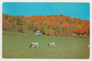 Camp Jackson Dodds - Boy Scouts of Canada, Quebec, Canada Vintage Original Postcard # 5638 - Post Marked 1985