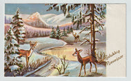 Happy New Year - Gelukkig Nieuwjaar Vintage Original Postcard # 5661 - Post Marked 1960's