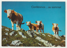 Load image into Gallery viewer, Summit Conference (Unknown) Vintage Original Postcard # 5682 - Hand Written 1980's
