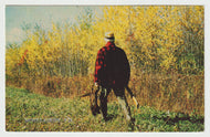 A Hunter With His Trophy, Mont-Laurier, Quebec, Canada Vintage Original Postcard # 5699 - Post Marked October 7, 1993