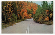 Autumn Travels - Roadway Vintage Original Postcard # 5703 - Post Marked September 29, 1983