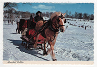 Mount Royal Winter Sleigh Ride, Montreal, Quebec, Canada Vintage Original Postcard # 5708 - Post Marked September 30, 1983