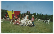 Santa Claus Village, Val-David, Quebec, Canada (The Animals) Vintage Original Postcard # 5782 - Post Marked October 3, 1983