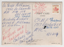 Load image into Gallery viewer, Leopards - 3D - Vintage Original Postcard # 5787 - Hand Written 1980's
