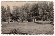 Load image into Gallery viewer, Triplewood Lodge, Bobcaygeon, Ontario, Canada Vintage Original Postcard # 2212 - 1950's
