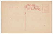 Load image into Gallery viewer, Friendship - Vintage Original Postcard # 2239 - New - Early 1900's - VG
