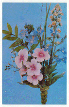 Load image into Gallery viewer, Botanical Museum, Harvard University, USA Vintage Original Postcard # 2274 - 1980's - Mint
