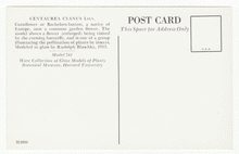 Load image into Gallery viewer, Botanical Museum, Harvard University, USA Vintage Original Postcard # 2275 - 1980's - Mint
