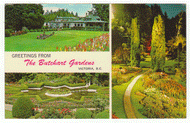 Greeting from Butchart Gardens, Victoria, British Columbia, Canada - Vintage Original Postcard # 2321 - Post Marked June 11, 1974 - VG