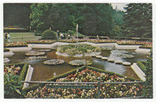 Load image into Gallery viewer, Butchart Gardens, Victoria, British Columbia, Canada (Star Pond) - Vintage Original Postcard # 2322 - New - 1970's - NM
