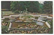 Butchart Gardens, Victoria, British Columbia, Canada (Star Pond) - Vintage Original Postcard # 2322 - New - 1970's - NM