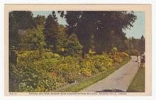 Load image into Gallery viewer, Rose Garden, Niagara Falls, Ontario, Canada - Vintage Original Postcard # 2396 - New - 1960's - NM
